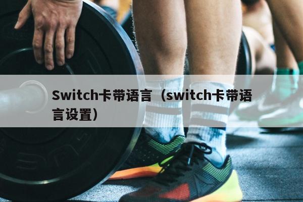 Switch卡带语言（switch卡带语言设置）