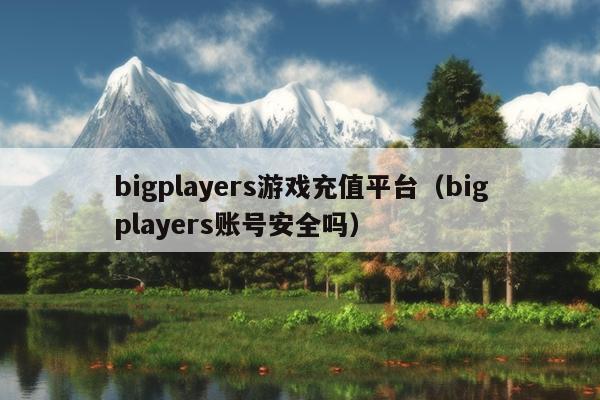 bigplayers游戏充值平台（bigplayers账号安全吗）
