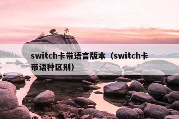 switch卡带语言版本（switch卡带语种区别）
