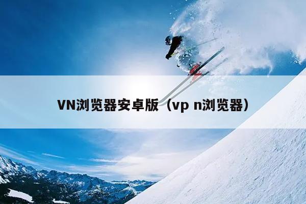 VN浏览器安卓版（vp n浏览器）
